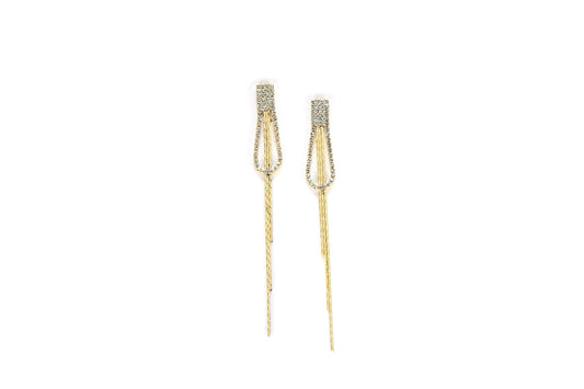 Double Long link Earrings